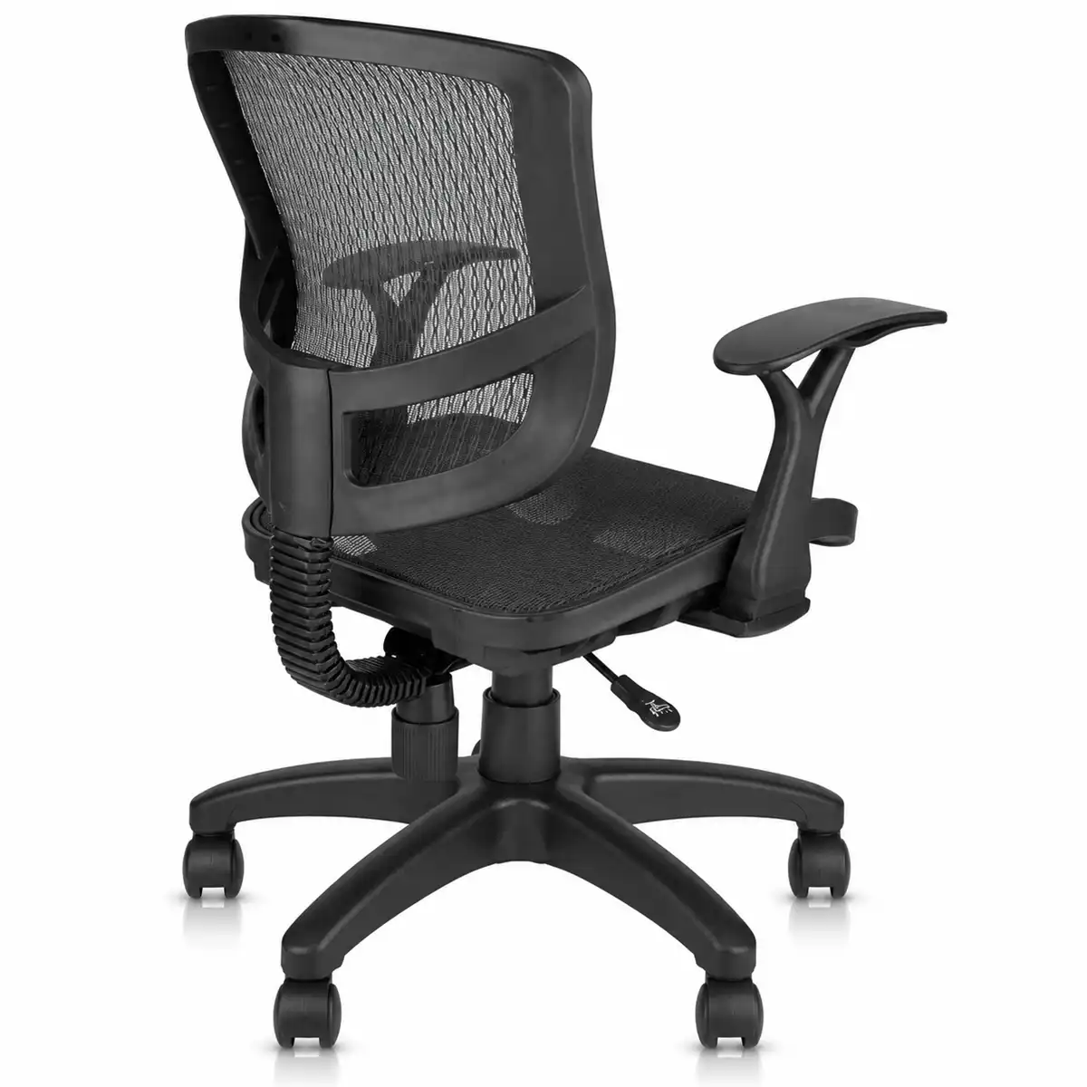 D02 Mesh