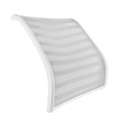 CenturyShine TQ-440Y Backrest Studio View. Features an ergonomic curved design with equidistant lateral reinforcement lines on both sides, upholstered with premium DuPont mesh for superior durability and breathability.